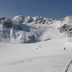 Donnersbachwald - Steiermark