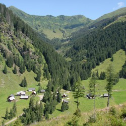 Donnersbachwald - Steiermark