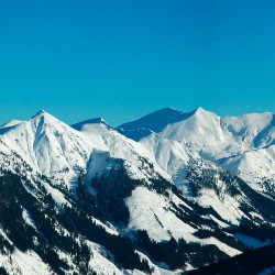 Donnersbachwald - Steiermark