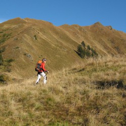 Donnersbachwald - Steiermark