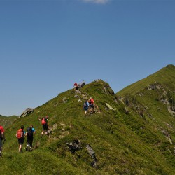 Donnersbachwald - Steiermark