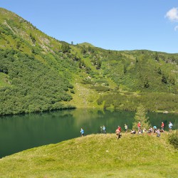 Donnersbachwald - Steiermark